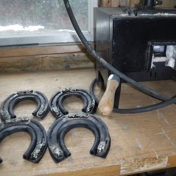 Meet your Posher, Ephiemia - Picture 1 of 1